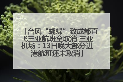 台风“蝴蝶”致成都直飞三亚航班全取消 三亚机场：13日晚大部分进港航班还未取消