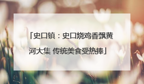 史口镇：史口烧鸡香飘黄河大集 传统美食受热捧