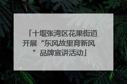 十堰张湾区花果街道开展“东风故里育新风”品牌宣讲活动