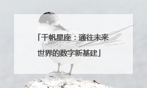 千帆星座：通往未来世界的数字新基建