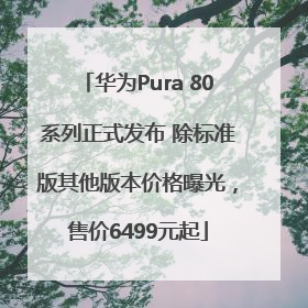 华为Pura 80系列正式发布 除标准版其他版本价格曝光，售价6499元起