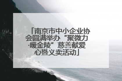 南京市中小企业协会圆满举办“聚微力·暖金陵”慈善献爱心暨义卖活动