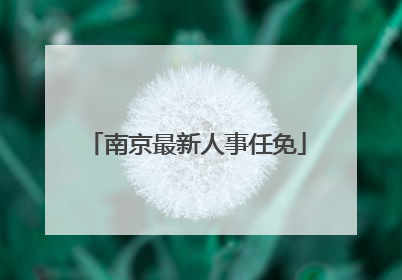 南京最新人事任免