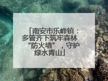 南安市乐峰镇：多管齐下筑牢森林“防火墙”，守护绿水青山