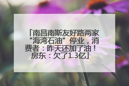 南昌南斯友好路两家“海湾石油”停业，消费者：昨天还加了油！房东：欠了1.3亿