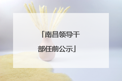 南昌领导干部任前公示