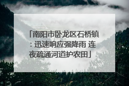 南阳市卧龙区石桥镇：迅速响应强降雨 连夜疏通河道护农田
