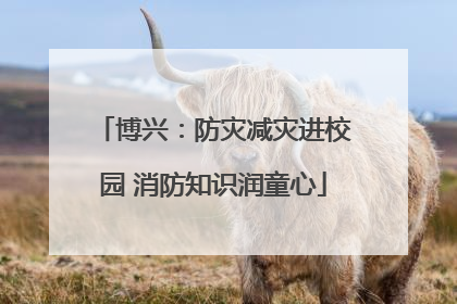 博兴：防灾减灾进校园 消防知识润童心