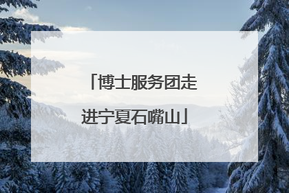 博士服务团走进宁夏石嘴山
