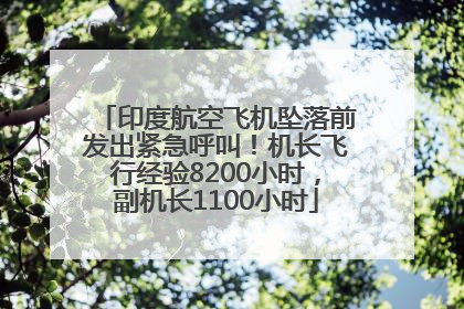 印度航空飞机坠落前发出紧急呼叫！机长飞行经验8200小时，副机长1100小时