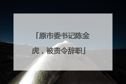 原市委书记陈金虎，被责令辞职