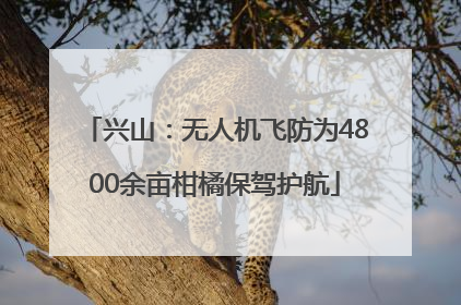 兴山：无人机飞防为4800余亩柑橘保驾护航