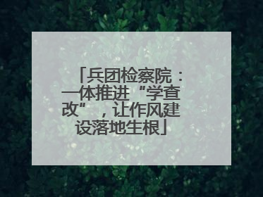 兵团检察院：一体推进“学查改”，让作风建设落地生根