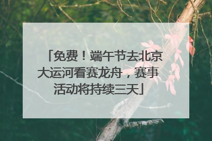 免费！端午节去北京大运河看赛龙舟，赛事活动将持续三天