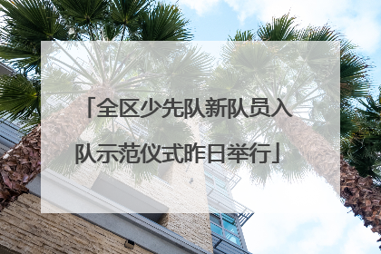 全区少先队新队员入队示范仪式昨日举行