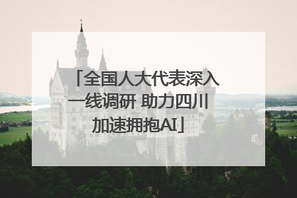 全国人大代表深入一线调研 助力四川加速拥抱AI