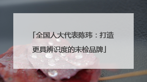 全国人大代表陈玮：打造更具辨识度的未检品牌
