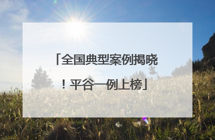 全国典型案例揭晓！平谷一例上榜