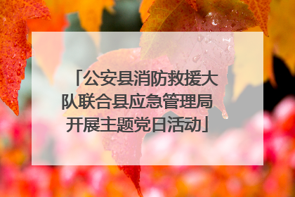 公安县消防救援大队联合县应急管理局开展主题党日活动
