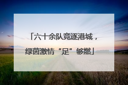 六十余队竞逐港城，绿茵激情“足”够燃