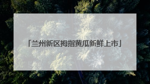 兰州新区拇指黄瓜新鲜上市