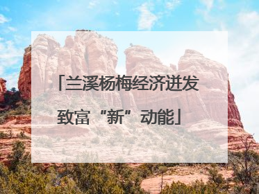 兰溪杨梅经济迸发致富“新”动能