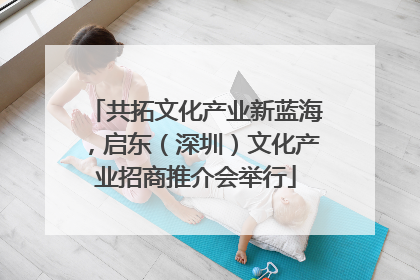 共拓文化产业新蓝海，启东（深圳）文化产业招商推介会举行