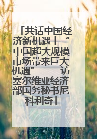 共话中国经济新机遇丨“中国超大规模市场带来巨大机遇”——访塞尔维亚经济部国务秘书尼科利奇