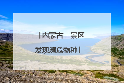 内蒙古一景区发现濒危物种