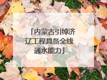 内蒙古引绰济辽工程具备全线通水能力