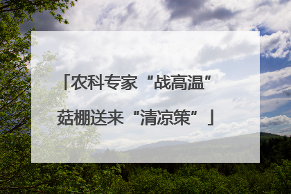 农科专家“战高温” 菇棚送来“清凉策”