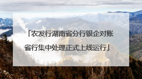 农发行湖南省分行银企对账省行集中处理正式上线运行