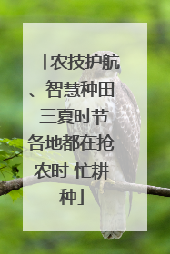 农技护航、智慧种田 三夏时节各地都在抢农时 忙耕种