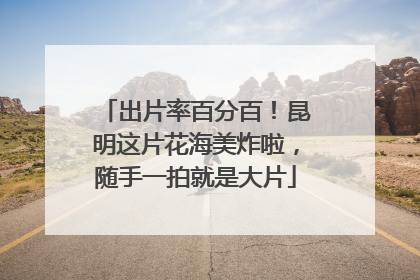 出片率百分百！昆明这片花海美炸啦，随手一拍就是大片