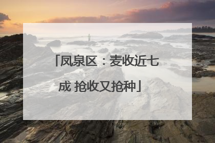 凤泉区：麦收近七成 抢收又抢种