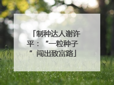制种达人谢许平：“一粒种子”闯出致富路