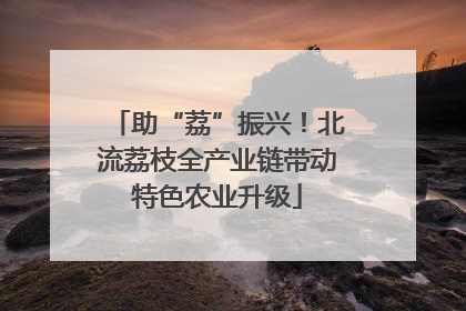 助“荔”振兴！北流荔枝全产业链带动特色农业升级