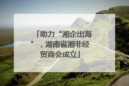 助力“湘企出海”，湖南省湘非经贸商会成立