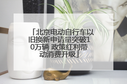 北京电动自行车以旧换新申请量突破10万辆 政策红利带动消费升级