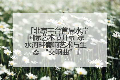 北京丰台首届水岸国际艺术节开幕 凉水河畔奏响艺术与生态 “交响曲”