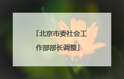北京市委社会工作部部长调整