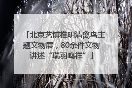 北京艺博推明清禽鸟主题文物展，80余件文物讲述“瑞羽鸣祥”