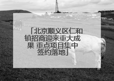 北京顺义区仁和镇招商迎来重大成果 重点项目集中签约落地