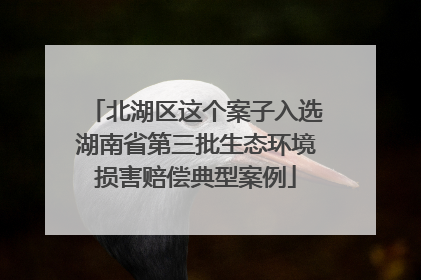 北湖区这个案子入选湖南省第三批生态环境损害赔偿典型案例