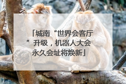 城南“世界会客厅”升级，机器人大会永久会址将焕新