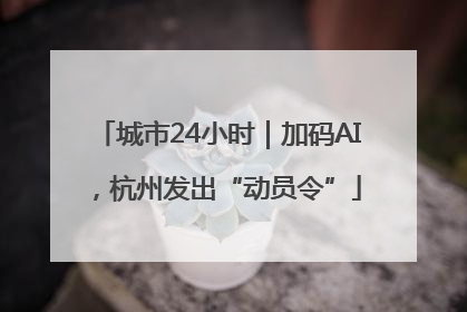 城市24小时｜加码AI，杭州发出“动员令”
