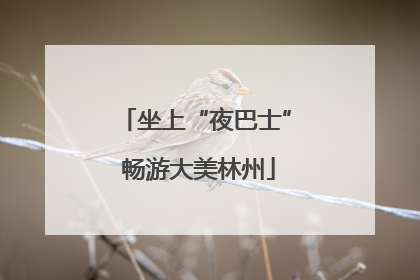 坐上“夜巴士” 畅游大美林州