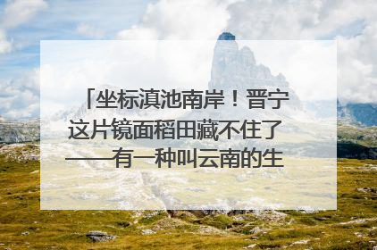坐标滇池南岸！晋宁这片镜面稻田藏不住了——有一种叫云南的生活之365天