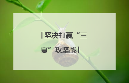 坚决打赢“三夏”攻坚战