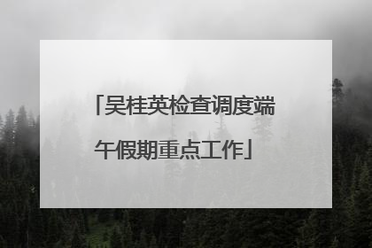 吴桂英检查调度端午假期重点工作